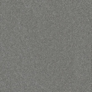 Dreamweaver Carpet Silver Lining III Stratus Carpet 6033_2930