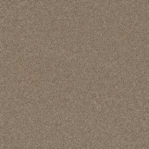 Dreamweaver Carpet Silver Lining III Cumulus Carpet 6033_2941