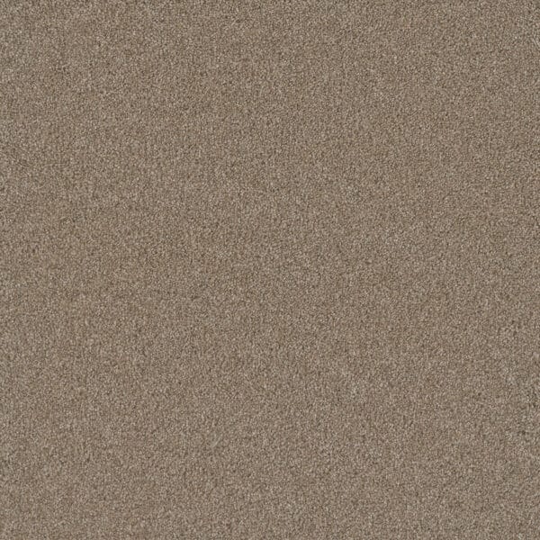 Dreamweaver Carpet Silver Lining III Cumulus Carpet 6033_2941
