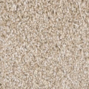 Dreamweaver Carpet West Brow Crystal Coast Carpet 6035_179