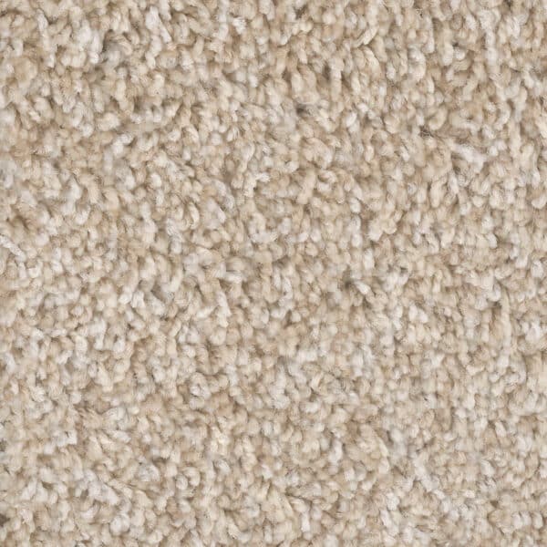 Dreamweaver Carpet West Brow Crystal Coast Carpet 6035_179