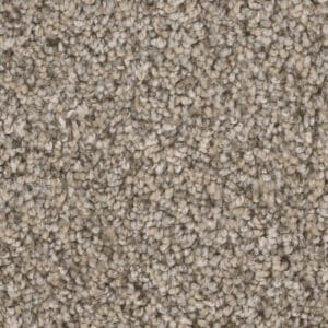 Dreamweaver Carpet West Brow Canyon Bluff Carpet 6035_243