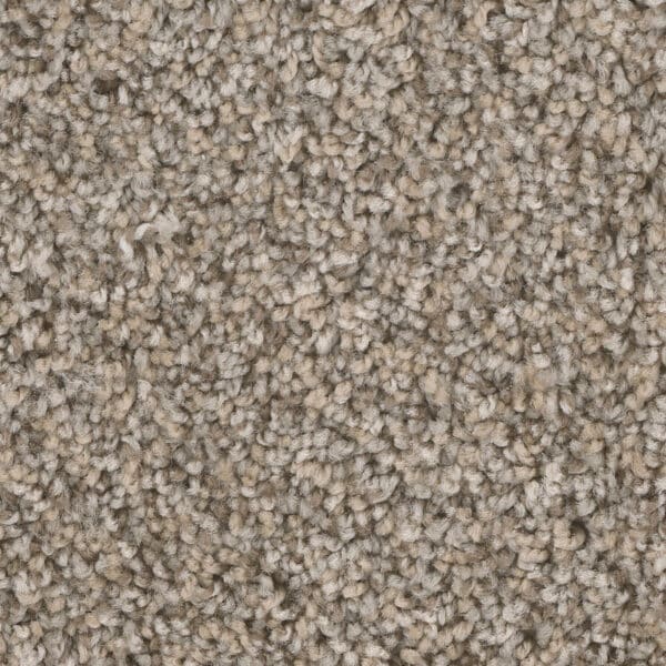 Dreamweaver Carpet West Brow Canyon Bluff Carpet 6035_243