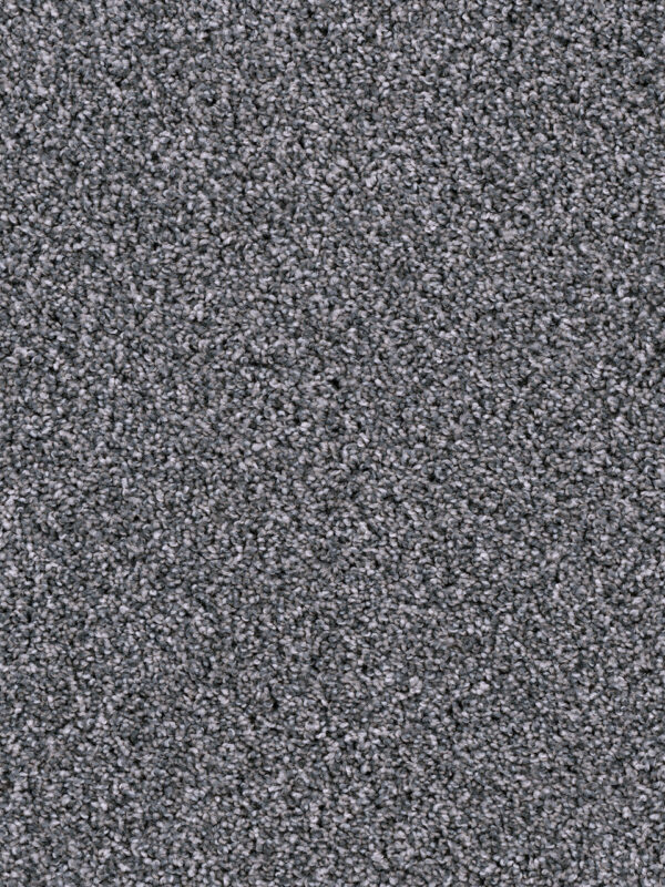 Dreamweaver Carpet West Brow Pearl Slate Carpet 6035_246