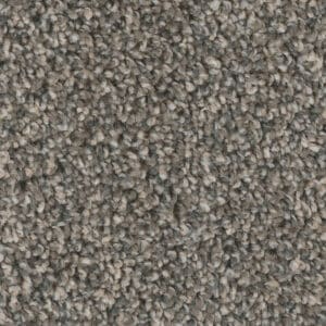 Dreamweaver Carpet West Brow Iron Sands Carpet 6035_252
