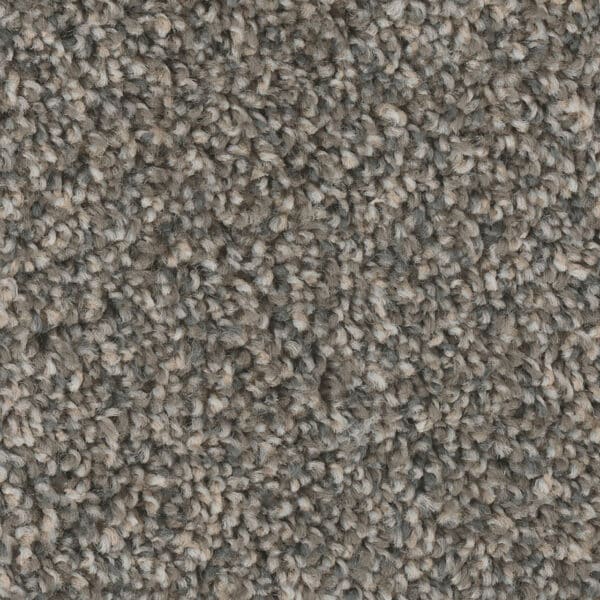 Dreamweaver Carpet West Brow Iron Sands Carpet 6035_252
