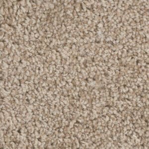 Dreamweaver Carpet West Brow Rusty Opal Carpet 6035_263