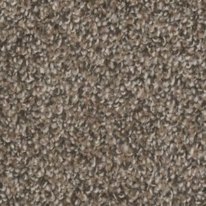 Dreamweaver Carpet West Brow Copper Mine Carpet 6035_314