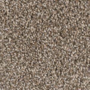 Dreamweaver Carpet West Brow Toasted Chestnut Carpet 6035_385