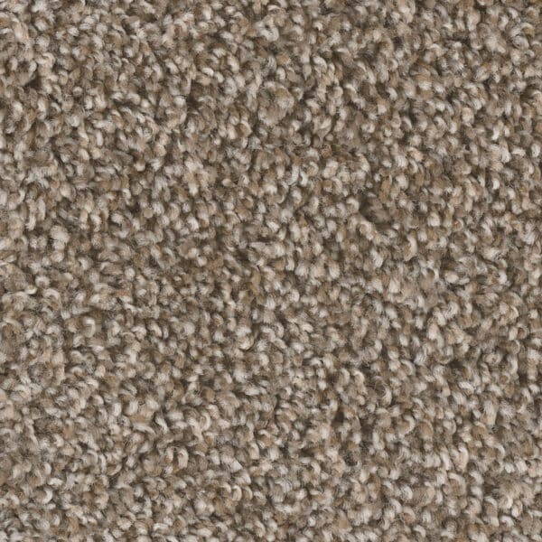 Dreamweaver Carpet West Brow Toasted Chestnut Carpet 6035_385
