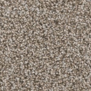 Dreamweaver Carpet West Brow Granite Carpet 6035_444