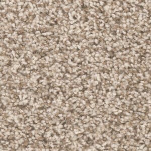 Dreamweaver Carpet West Brow Agate Carpet 6035_513