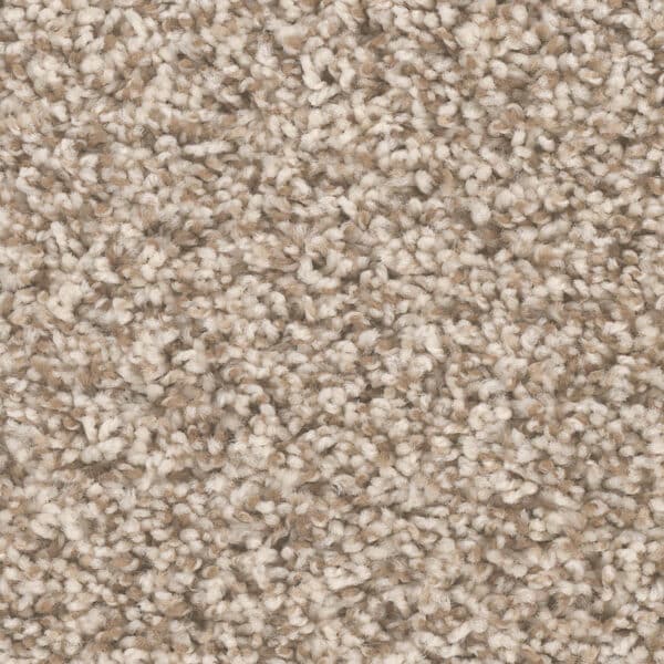 Dreamweaver Carpet West Brow Agate Carpet 6035_513