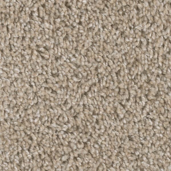 Dreamweaver Carpet West Brow Natural Pebble Carpet 6035_609