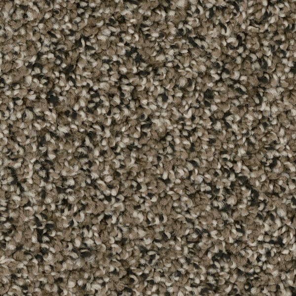Dreamweaver Carpet West Brow Magnetite Carpet 6035_726