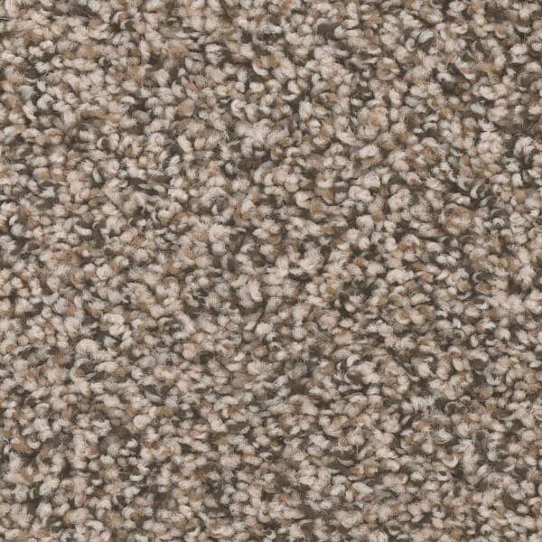 Dreamweaver Carpet West Brow Gemstone Carpet 6035_760