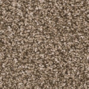 Dreamweaver Carpet West Brow Bramble Carpet 6035_845