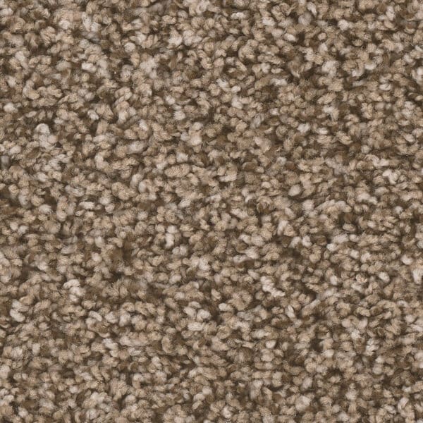 Dreamweaver Carpet West Brow Bramble Carpet 6035_845