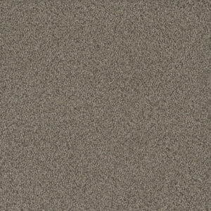 Dreamweaver Carpet No Limits I Madura Sands Carpet 9337_6117