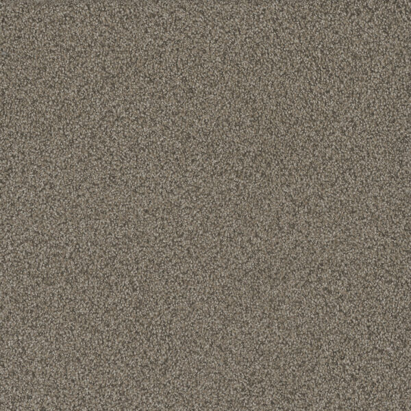 Dreamweaver Carpet No Limits I Madura Sands Carpet 9337_6117