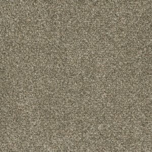 Dreamweaver Carpet Brazen II Olympic Carpet 6260_156