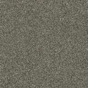 Dreamweaver Carpet Brazen II Millstone Carpet 6260_197