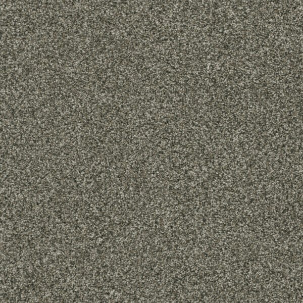 Dreamweaver Carpet Brazen I Millstone Carpet 6240_197