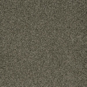 Dreamweaver Carpet Brazen II Smokestack Carpet 6260_239