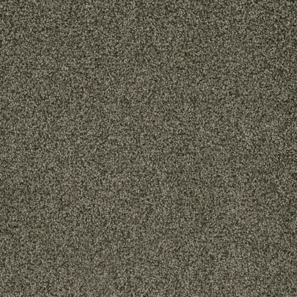 Dreamweaver Carpet Brazen II Smokestack Carpet 6260_239