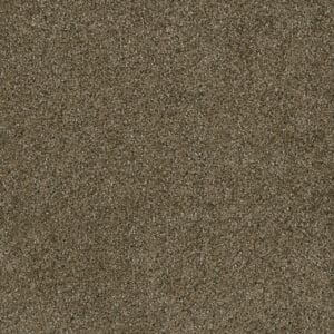 Dreamweaver Carpet Brazen II Brandywine Carpet 6260_245