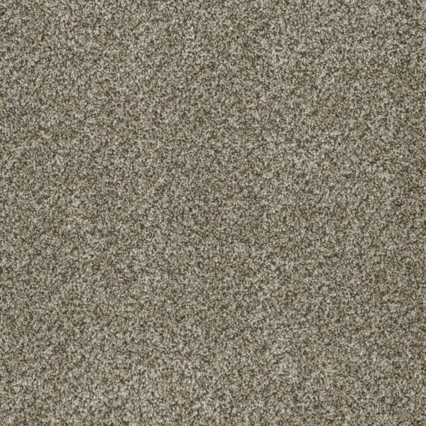 Dreamweaver Carpet Brazen II Moonshine Carpet 6260_250
