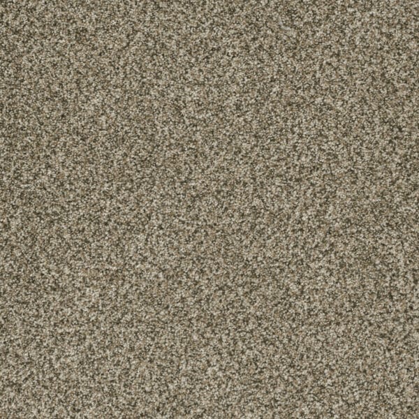 Dreamweaver Carpet Brazen II Sedona Carpet 6260_343