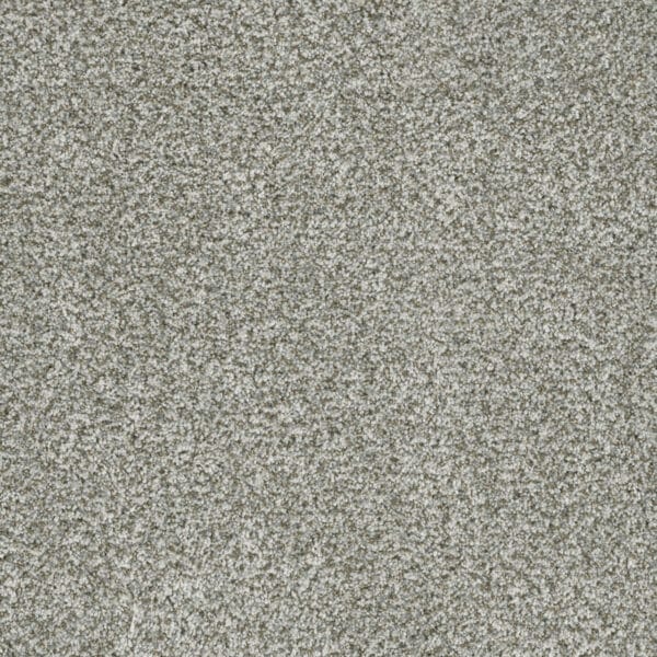 Dreamweaver Carpet Brazen II Purity Carpet 6260_407
