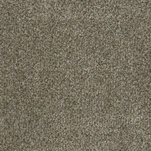 Dreamweaver Carpet Brazen II Feather Soft Carpet 6260_497