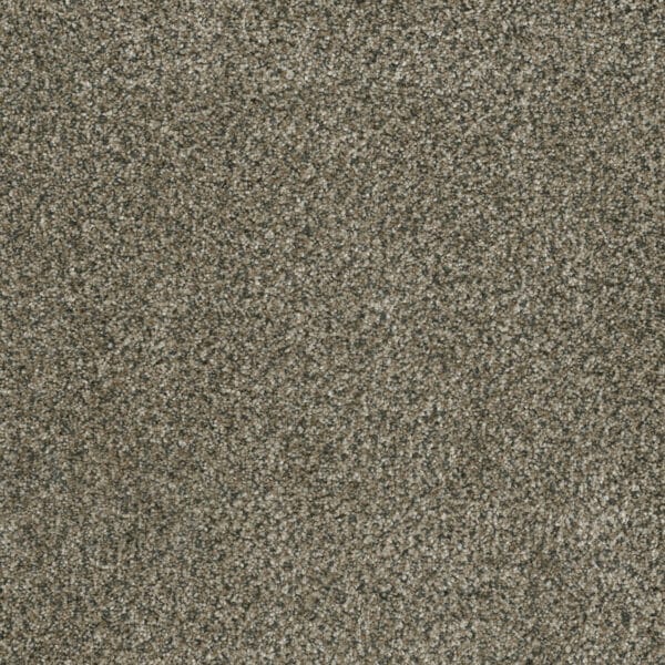 Dreamweaver Carpet Brazen II Feather Soft Carpet 6260_497