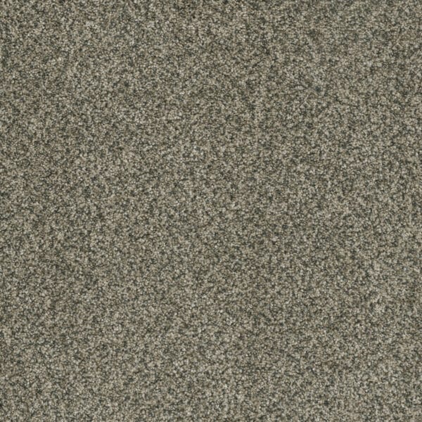 Dreamweaver Carpet Brazen II Pacifico Carpet 6260_542