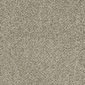 Dreamweaver Carpet Brazen II Acadia Carpet 6260_596