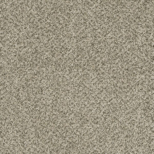 Dreamweaver Carpet Brazen II Acadia Carpet 6260_596