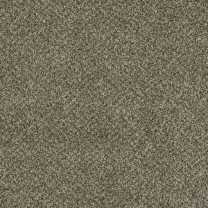 Dreamweaver Carpet Brazen II Olivewood Carpet 6260_605