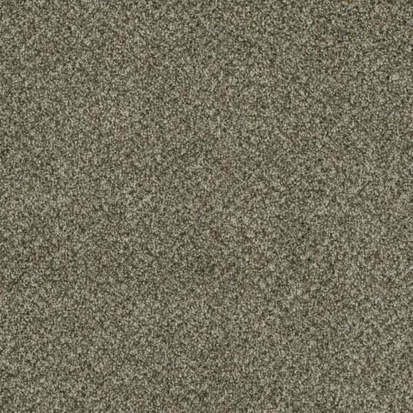 Dreamweaver Carpet Brazen II Olivewood Carpet 6260_605