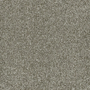 Dreamweaver Carpet Brazen II Clove Carpet 6260_848