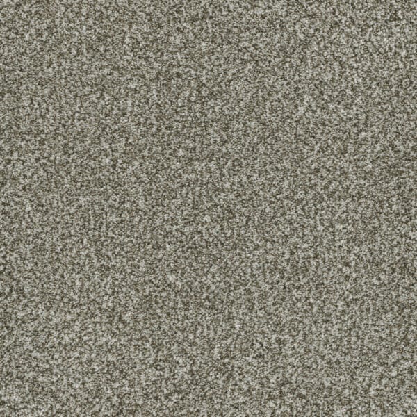 Dreamweaver Carpet Brazen II Clove Carpet 6260_848