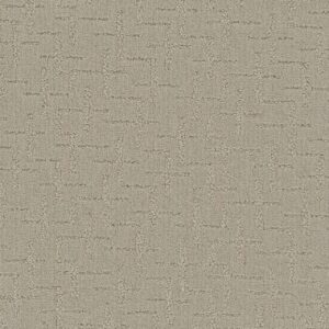 Dreamweaver Carpet Organic Elements Warm Glow Carpet 6335_2010