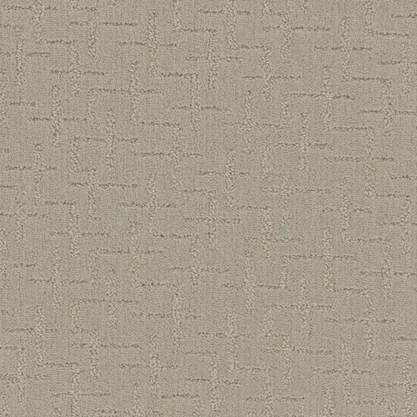 Dreamweaver Carpet Organic Elements Warm Glow Carpet 6335_2010