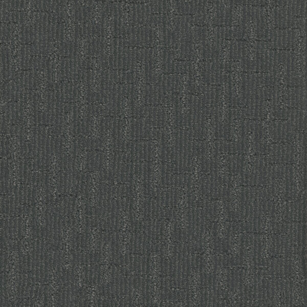 Dreamweaver Carpet Organic Elements Nightvale Carpet 6335_2060