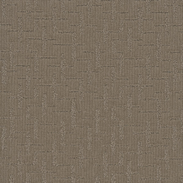 Dreamweaver Carpet Organic Elements Western Clay Carpet 6335_2088