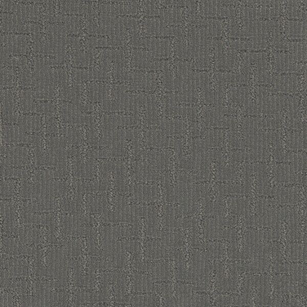 Dreamweaver Carpet Organic Elements Ocean Point Carpet 6335_2113
