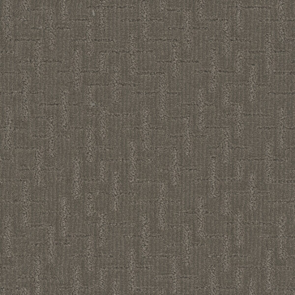 Dreamweaver Carpet Organic Elements Thistlewood Carpet 6335_2200