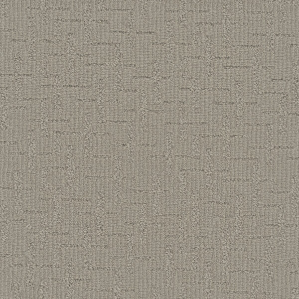 Dreamweaver Carpet Organic Elements Whisper Point Carpet 6335_2289