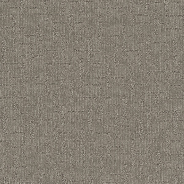 Dreamweaver Carpet Organic Elements Fox Den Carpet 6335_2310